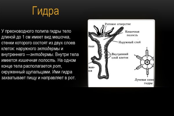 Поддержка омг